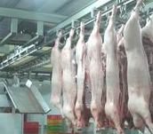 Vĩnh Phúc Tăng cường công tác bảo đảm an toàn thực phẩm